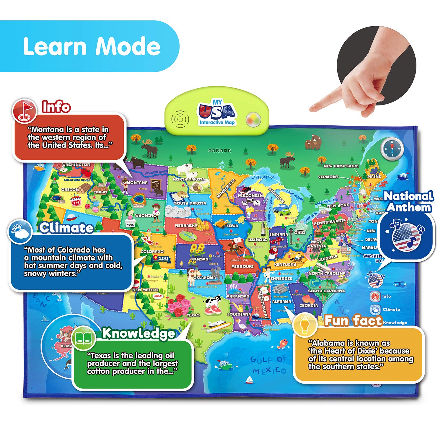 Educational Smart Talking Poster Toy